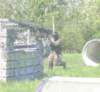 paintball0839_small.jpg