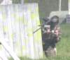 paintball0848_small.jpg