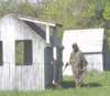 paintball0858_small.jpg