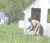 paintball0869_small.jpg