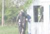 paintball0879_small.jpg