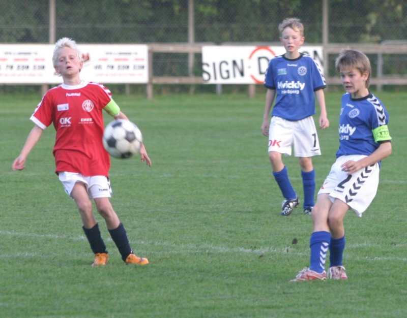 u13d1aiatranbjergbrabrandif110836.jpg